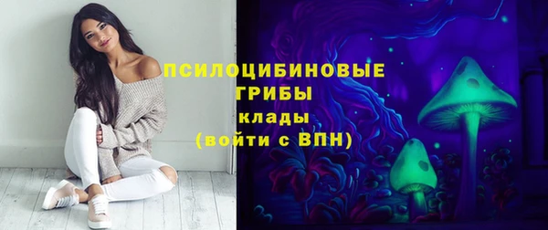 спиды Алзамай