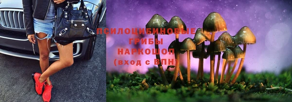 спайс Алексин
