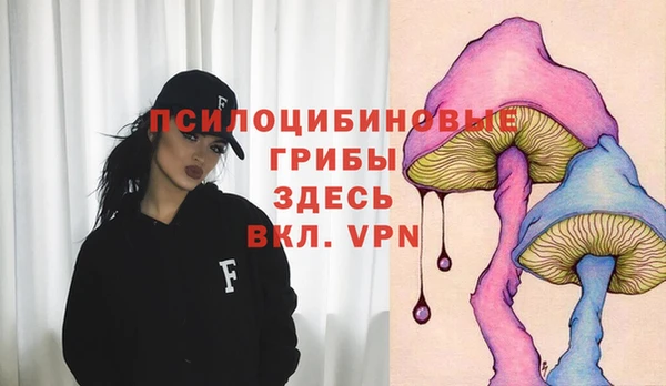 спайс Алексин