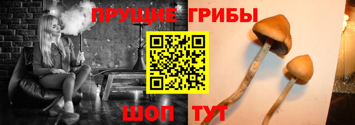 Галлюциногенные грибы ЛСД Кольчугино